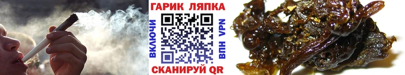 blacksprut вход  Кашин  ГАШ Cannabis 