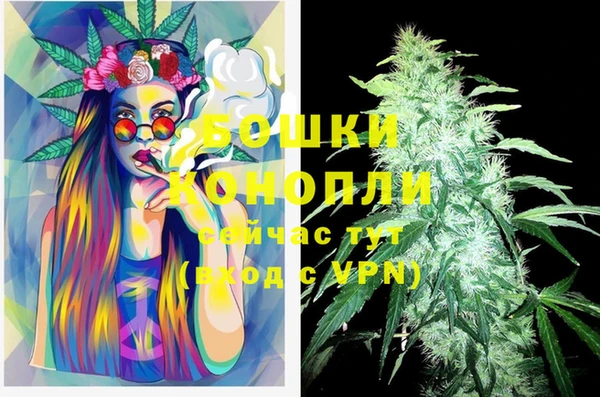 дурь Снежногорск