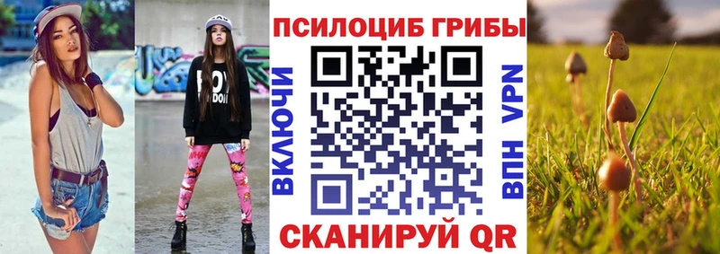 Псилоцибиновые грибы Psilocybe  mega как войти  маркетплейс официальный сайт  где найти   Кашин 