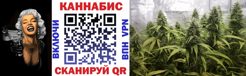 Шишки марихуана Ganja  где продают наркотики  Кашин 